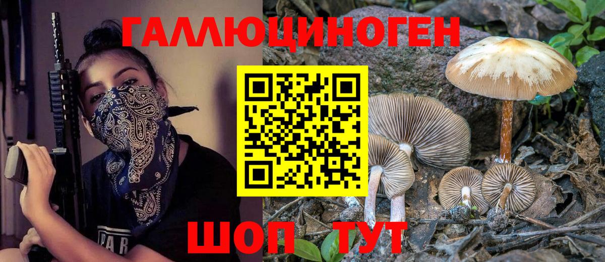 Карталы  Псилоцибиновые грибы Psilocybe  Псилоцибиновые грибы прущие грибы  где продают наркотики  Вход с VPN 