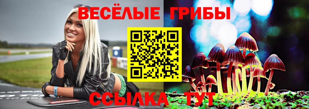 Галлюциногенные грибы Psilocybe Карталы